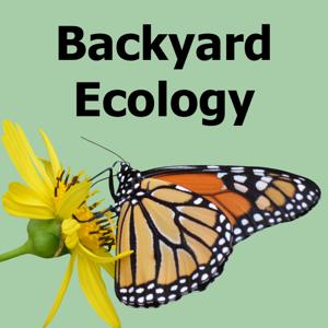 Backyard Ecology