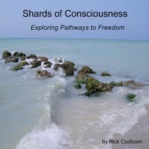 Shards of Consciousness