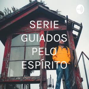 SERIE GUIADOS PELO ESPÍRITO