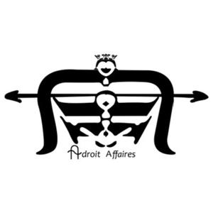 Adroit Affaires: In Your Business™