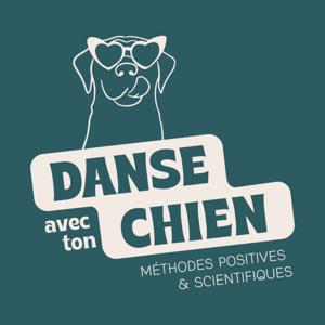 Danse avec ton chien - Méthodes positives et scientifiques by Julia Téchené