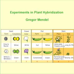 Experiments in Plant Hybridisation by Gregor Mendel (1822 - 1884)