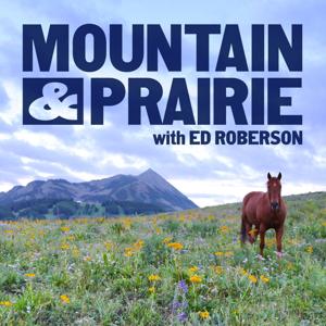 Mountain & Prairie with Ed Roberson by Ed Roberson