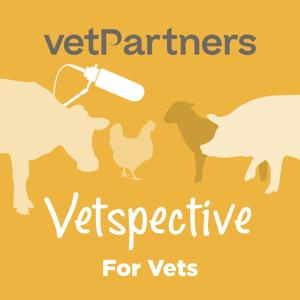 Vetspective for Vets