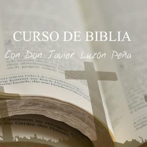 CURSO DE BIBLIA DON JAVIER LUZÓN