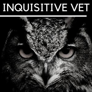 Inquisitive Vet