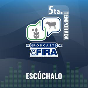 FIRA Podcast