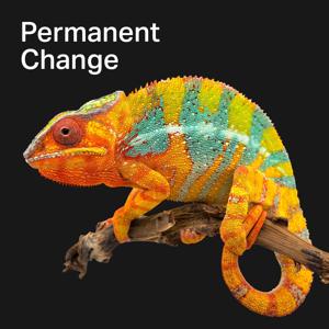 Permanent Change - Selbstbestimmt in die Zukunft