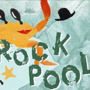 Rock Pool by Inspector Sands