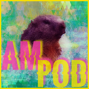 AM Pod