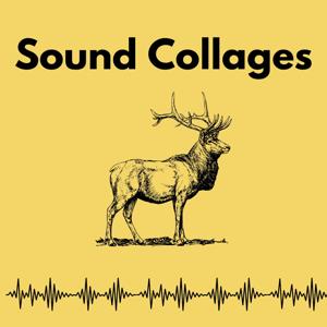 Sound Collages - audio adventures