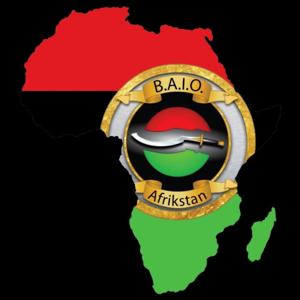 Black Afrikan Infrastructure Organization