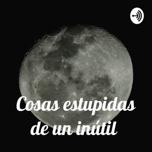 Cosas estupidas de un inútil