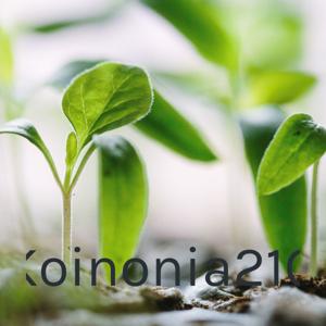 Koinonia21c