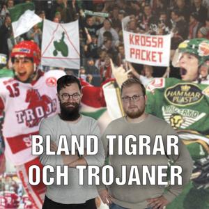 Bland Tigrar och Trojaner