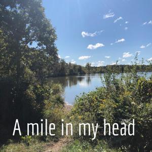 Wally Metts: a mile in my head