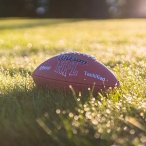 Single Fat Football Fan