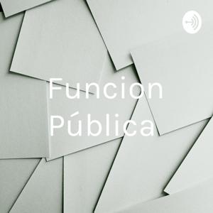 Funcion Pública