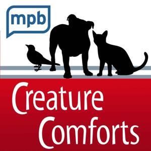 Creature Comforts by Jason Klein