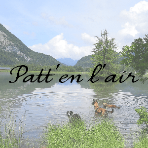 PATT' L'AIR