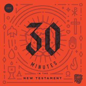 30 Minutes In The New Testament by 1517 Podcasts