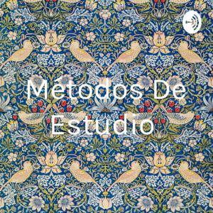 Métodos De Estudio
