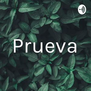 Prueva