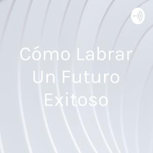 Cómo Labrar Un Futuro Exitoso