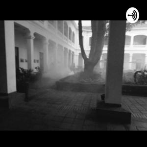 Podscat Sobre Democracia Y Participación Ciudadana De Profesor Stanislao Zuleta