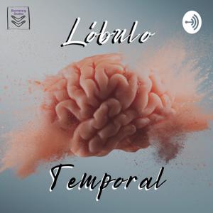 Lóbulo Temporal