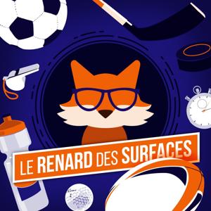 Le Renard des Surfaces