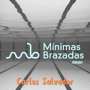 Mínimas Brazadas