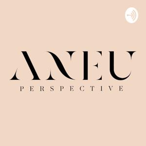 Aneu Perspective