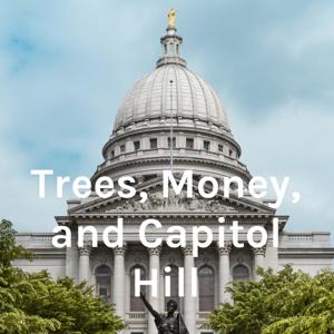 Trees, Money, and Capitol Hill