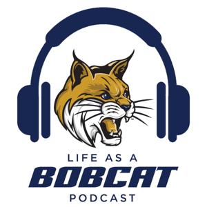 Life As A Bobcat