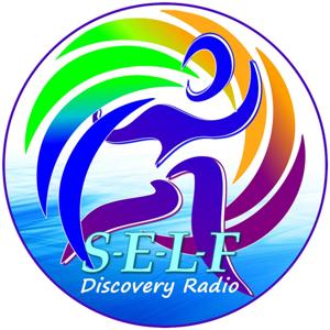 Self Discovery Radio Network