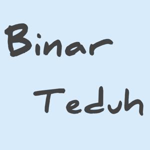 Binar Teduh