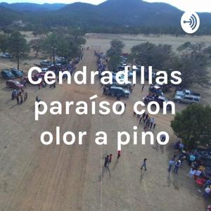 Cendradillas paraíso con olor a pino