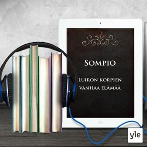 Samuli Paulaharju: Sompio