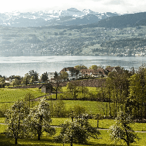 Seelische Gesundheit zum Hören