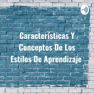 Características Y Conceptos De Los Estilos De Aprendizaje