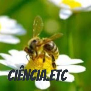 Ciência.ETC
