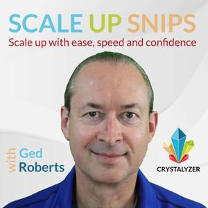 Scale Up Snips - Scale Up with Speed, Ease and Confidence