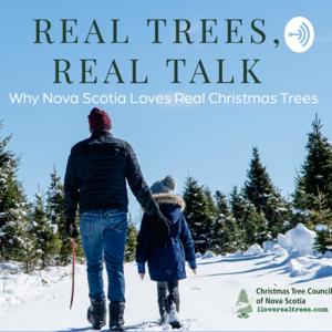 Real Trees, Real Talk - Why Nova Scotia Loves Real Christmas Trees