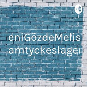 EleniGözdeMelisa Samtyckeslagen