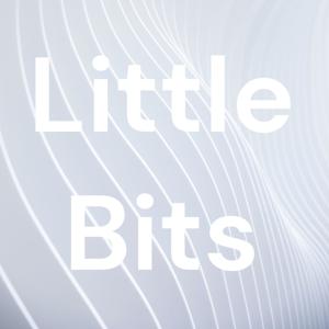 Little Bits