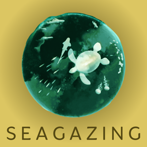 SeaGazing