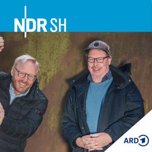 Kunst mich mal! - Kulturpodcast von NDR Schleswig-Holstein by NDR 1 Welle Nord