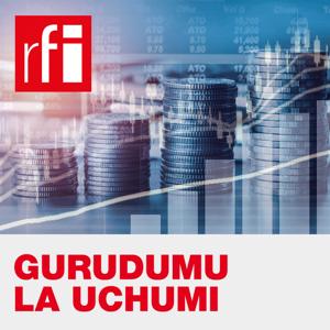 Gurudumu la Uchumi