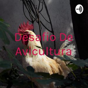 Desafio De Avicultura